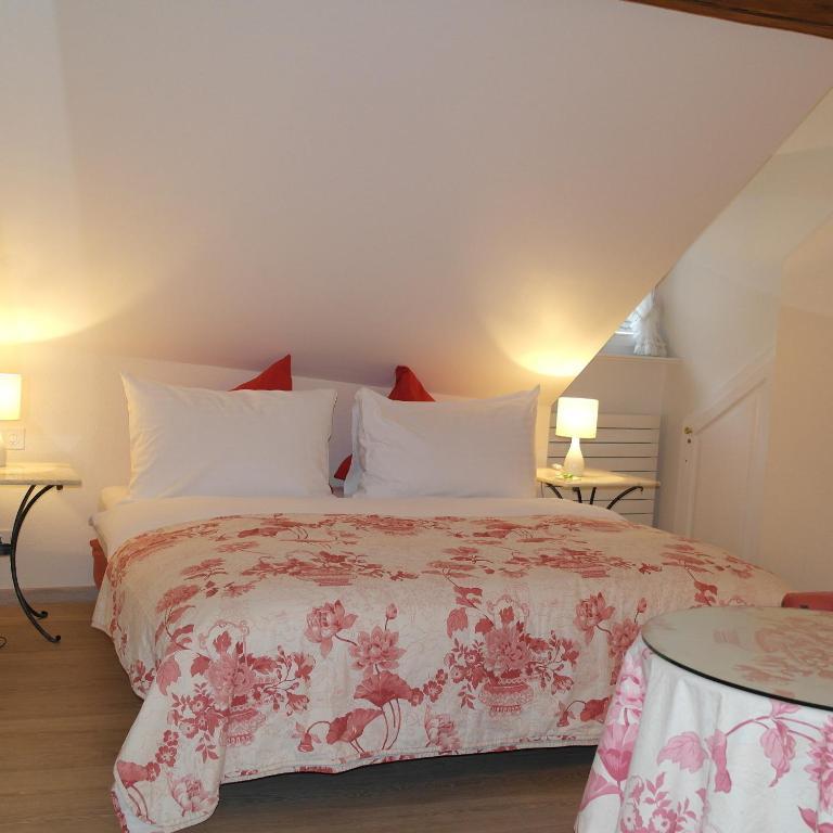 Hotel Hirschen Rapperswil-Jona Pokój zdjęcie